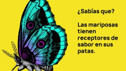 e4b2f318b849f1d68ee7c63c59f9486d