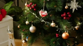 pexels-ngan-d-ng-706246094-19319728