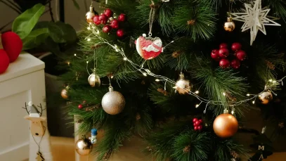 pexels-ngan-d-ng-706246094-19319728