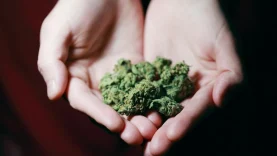 drogas-no-son-problema-son-consecuencia-de-problema-wide_webp